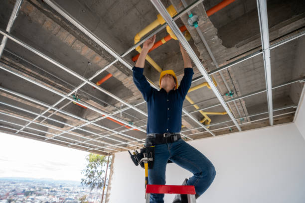 Best Sewer Line Repair  in Elmira Heights, NY