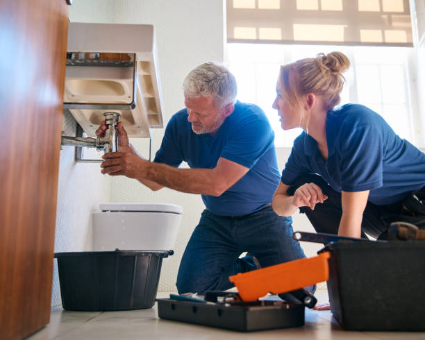 Best Drain Cleaning Services  in Elmira Heights, NY